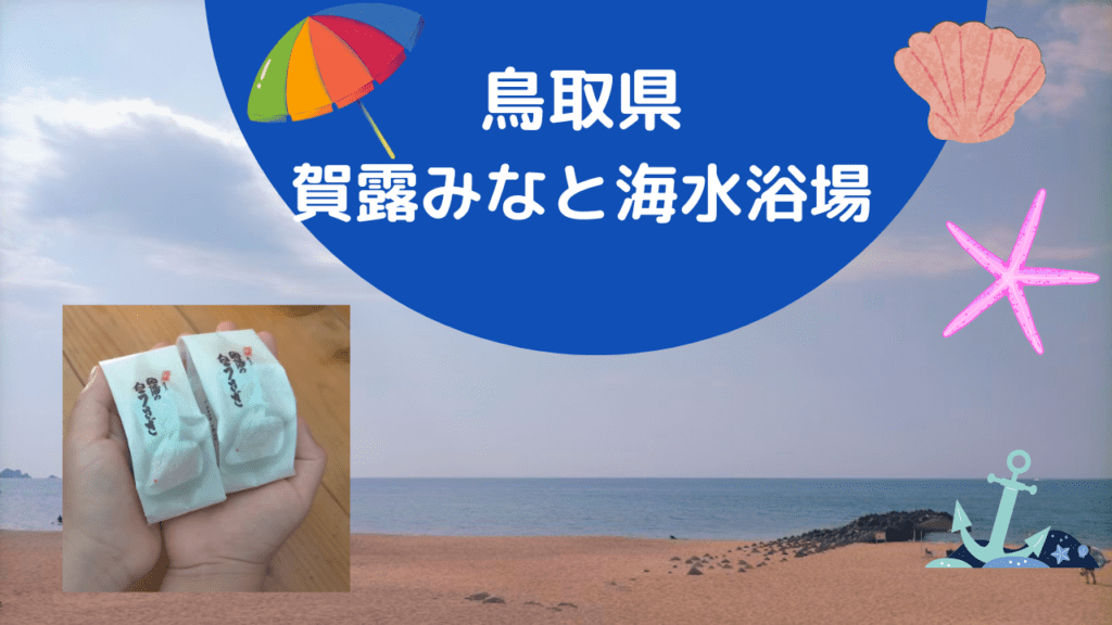 鳥取県賀露みなと海水浴場：夏の海水浴の過ごし方とお土産ランキング