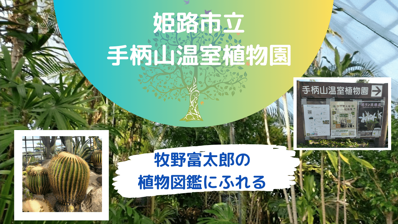 朝ドラ「らんまん」の世界！姫路温室植物園で牧野富太郎の植物図鑑にふれる